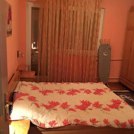 House To Rent For Uefa In Macedonia Gostivar